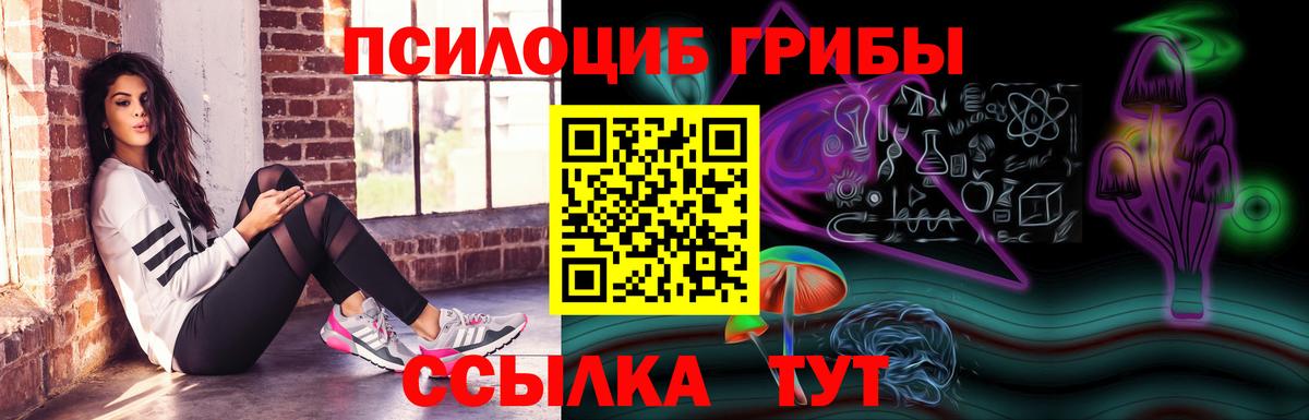 Псилоцибиновые грибы Cubensis Саратов